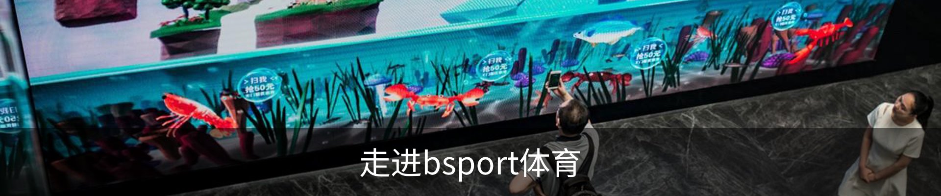 走进bsport体育